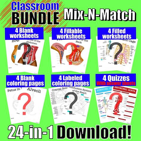 BuildYourOwn Classroom Worksheet Bundle 24 Pages Digital Download
