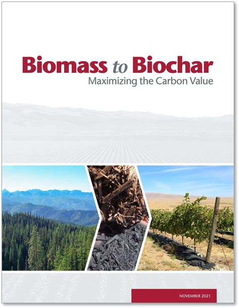 Building Better Biochar Breakthroughs: A Roadmap for …