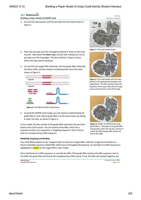 Building a Paper Model of CrisprCas9 Activity Student Handout