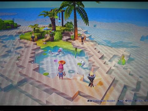 Building a Pool of Paradise in the ocean r/DQBuilders