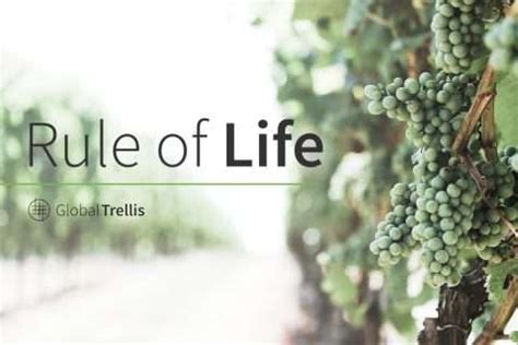 Building a Trellis Exploring if a Rule of Life is Right for Me