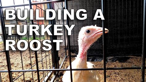 Building a Turkey Roost - YouTube