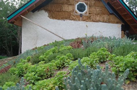 Building green eine komplette anleitung zu alternativen bauweisen erdputz strohballen cordwood cob living roofs. - Salotti francesi e poesia italiana nel seicento.