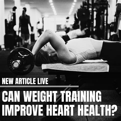 Built For Strength A Basic Approach To Weight Training Success For Men And Women