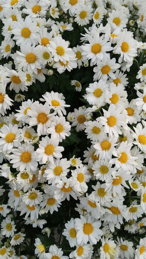 Bukey Halı ve Koltuk Yıkama