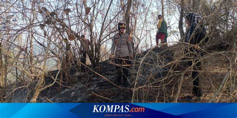 Bukit menoreh kebakaran karena warga bakar sampah