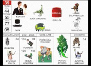 Buku mimpi bergambar erek erek. Main game olympus biar menang terus.
