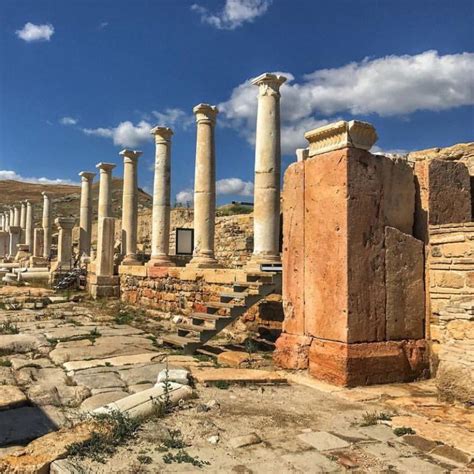 veodersti.rgarabwor.edu.pl. 