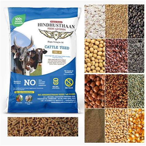 Bulk Cattle Feed Prices