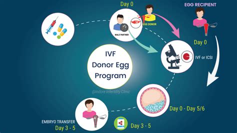 Bulk bill ivf melbourne.  We also have a donor sperm program available.  Start your IVF journ...