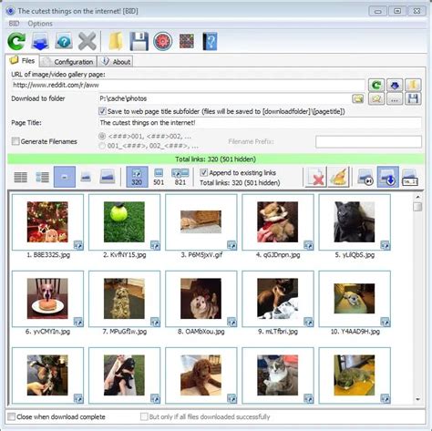 This online image downloader provides highly customizable filters based on file size, image size, and more! 1. . Bulkimagedownloader