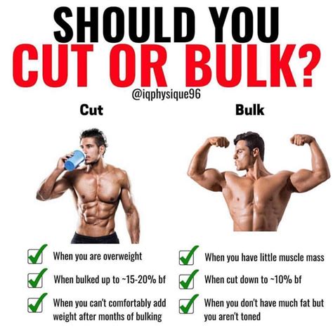 th?q=Bulking And Cutting Cycles: The Quickest Way To Get Ripped!