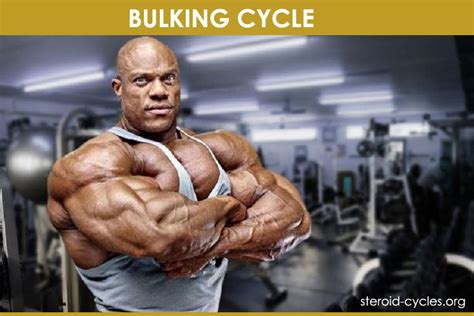 th?q=Bulking Cycle: List of Bulking Steroids for Mass Gain [2020]