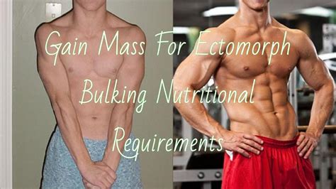 Bulking For Ectomorphs: Nutritional Requirements ... - Bodybuilding.com