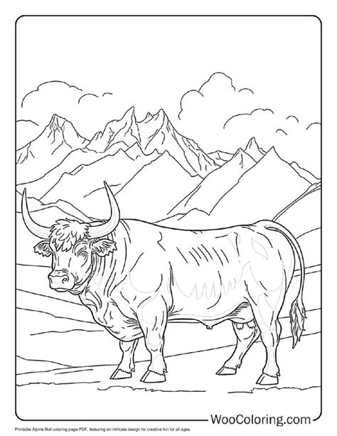 Bull Coloring