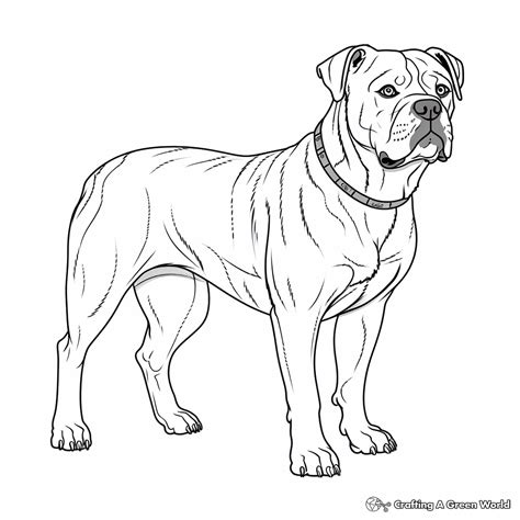 Realistic Reindeer Coloring Pages