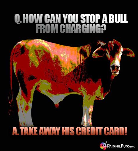 Bull Jokes, Steer Puns, He Cow Humor PainfulPuns.com