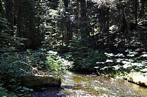 Bull Run River Near Bull Run (River Only), OR - USGS