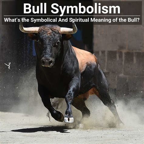 Bull self. Things To Know About Bull self. 