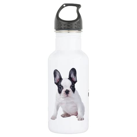 Bulldog Puppy And Water Bottle