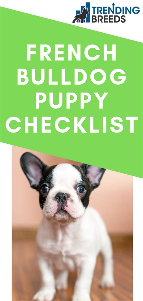 Bulldog Puppy Checklist
