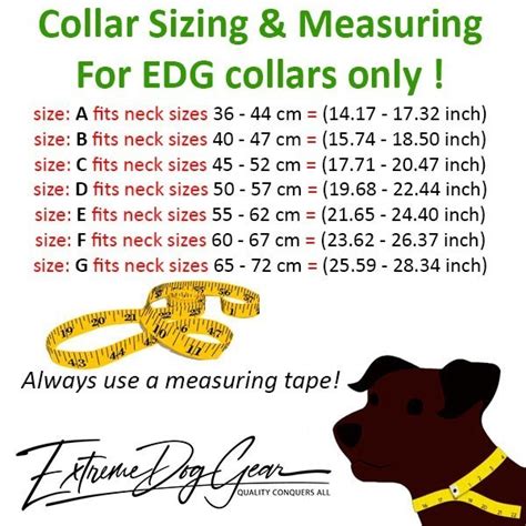 Bulldog Puppy Collar Size