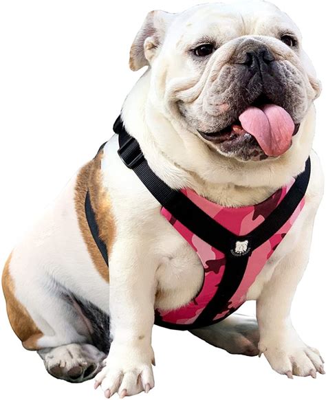 Bulldog Puppy Harness Size