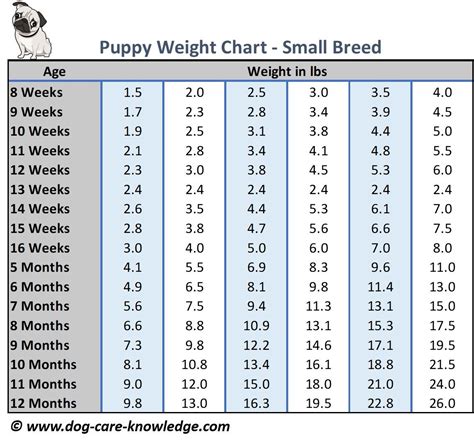 Bulldog Puppy Weight