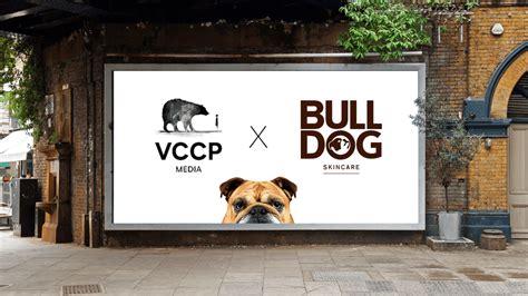 Bulldog appoints former Telegraph Head of SEO Bulldog Digital Media