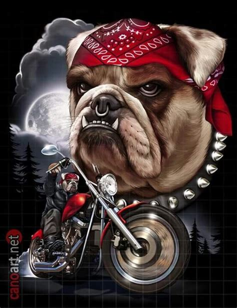 Bulldog harley davidson. Things To Know About Bulldog harley davidson. 