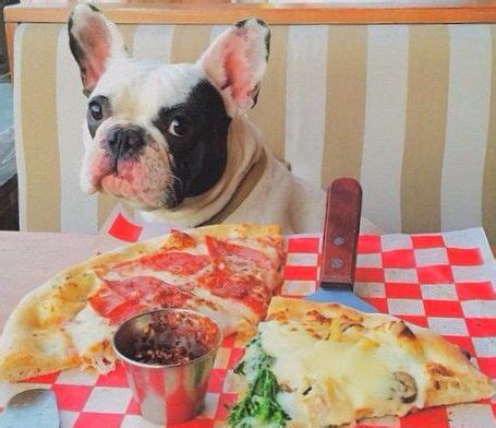 Bulldog pizza. Things To Know About Bulldog pizza. 