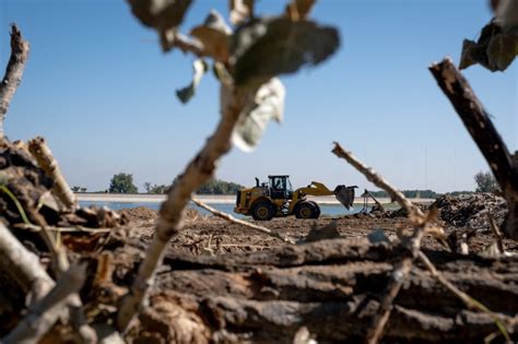 Bulldozers cut down cottonwoods in Barr Lake State Park, raising concerns about bald eagles