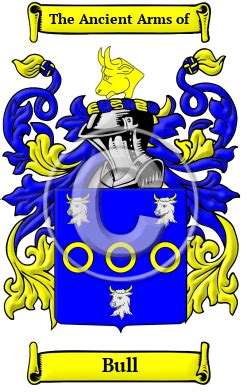 Bulls History, Family Crest & Coats of Arms - HouseOfNames