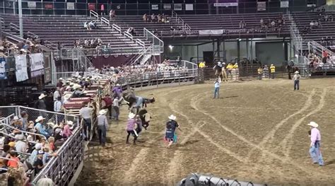 Bulls gets out of Utah County Fair rodeo arena, injuring family members of Lt. Gov. Deidre Henderson 