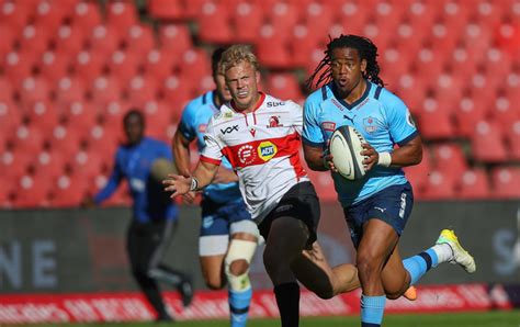Sexxvida - Bulls wary of slipping up against hungry Lions