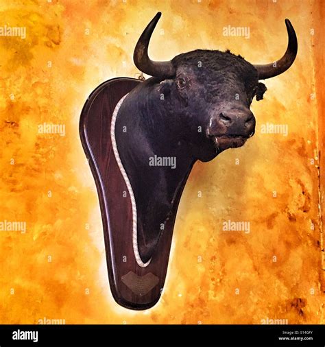 Bullshead - Vintage Bulls Head Smoking Pipe, RAOB Buffalo Tobacco Pipe, carved bull head, horned cow, animal pipe, taurus, collectors pipe (938) $ 69.45. Add to Favorites Hunting Dog and Bird Meerschaum Pipe brown handmade tobacco pfeife 海泡石 with case (61) $ 221.00. FREE shipping ...