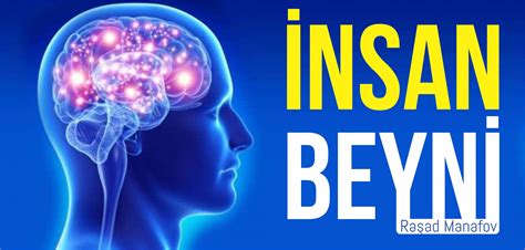 Bulmacada Insanbeyni. 