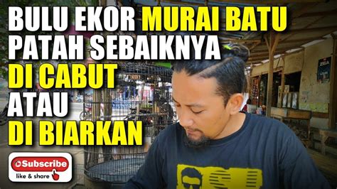 Jual tas kresek sampah jumbo terbaik