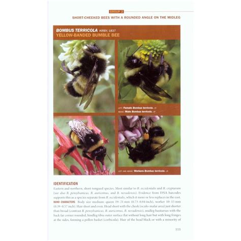 Bumble bees of north america an identification guide. - Black and decker mini fridge owners manual.
