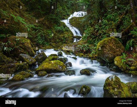 Bunches Creek Natural Atlas