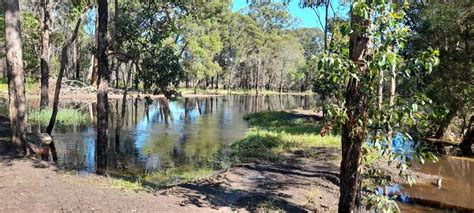 Bungawalbin - New South Wales