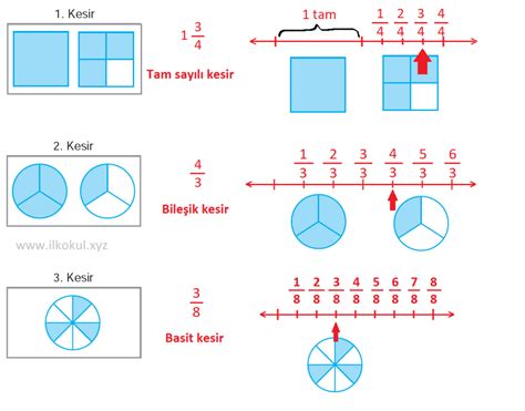 Bunlar içerisinde basit kesirler ve bileşik kesirler ile tam sayılı kesirler bulunmaktadır.