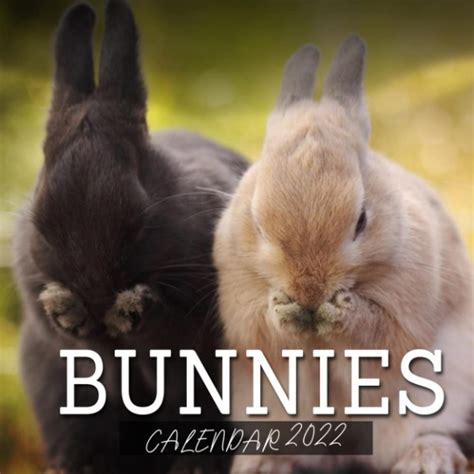 🍆 [SEX VIDEO] Bunnies_2022 Leaked