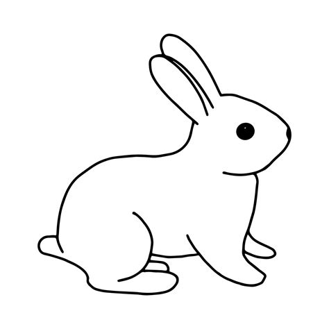 Bunny Black And White Drawing