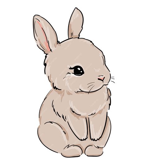 Bunny Drawing Cartoon