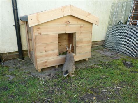 Bunny shelters near me. Things To Know About Bunny shelters near me. 