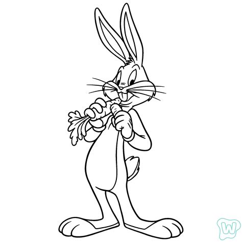 💦 Bunny.Da_ Leaked (SEX)