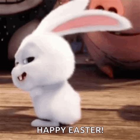 💦 Bunny_Gif Onlyfans Leak XxX 203 Pics