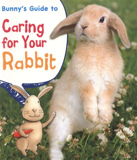Full Download Bunnys Guide To Caring For Your Rabbit By Anita Ganeri