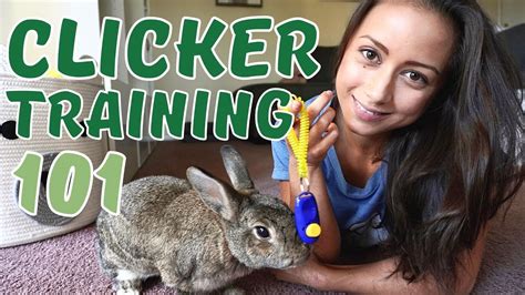 Bunnytrainer Onlyfans Leak